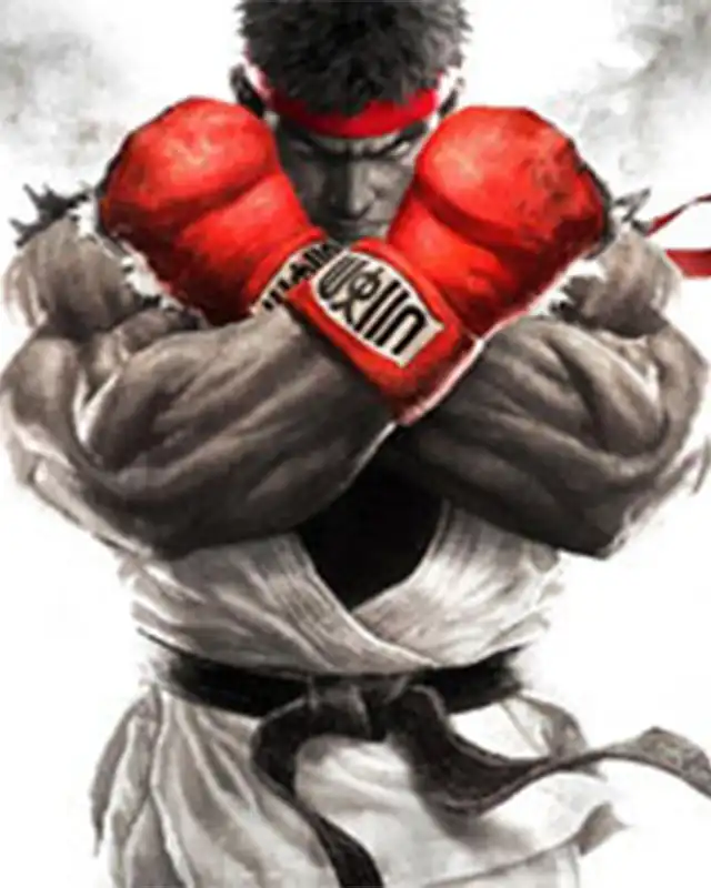 Street Fighter V