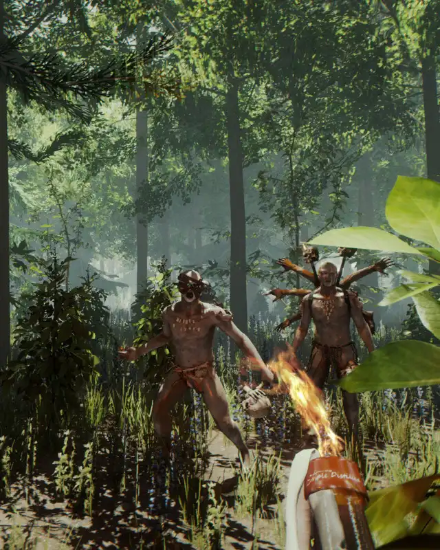 The Forest