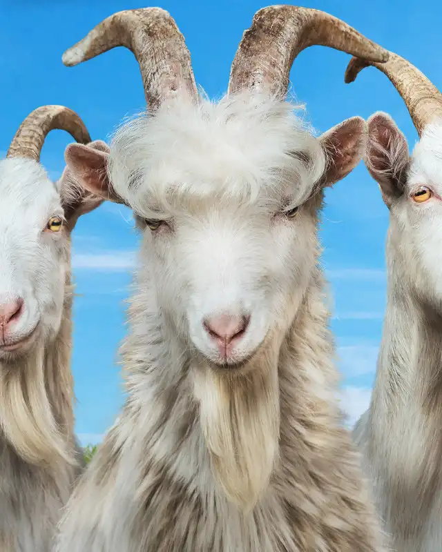 Goat Simulator 3