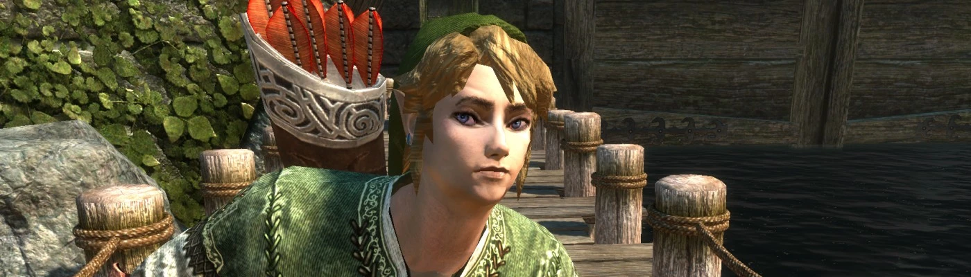 The Legend of Zelda - Link - Preset for ECE and Racemenu at Skyrim Nexus -  Mods and Community