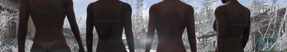 UPDATE - A Better Underwear Replacer Mod - CBBE at Fallout 4 Nexus - Mods  and community