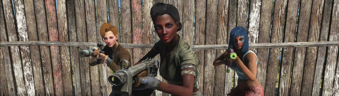 Fallout 3 Companions - Update at Fallout 4 Nexus - Mods and community
