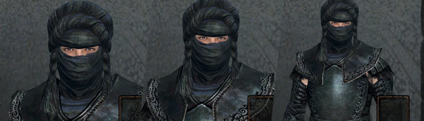 TOP 5 Dragon's Dogma Armor MODS 