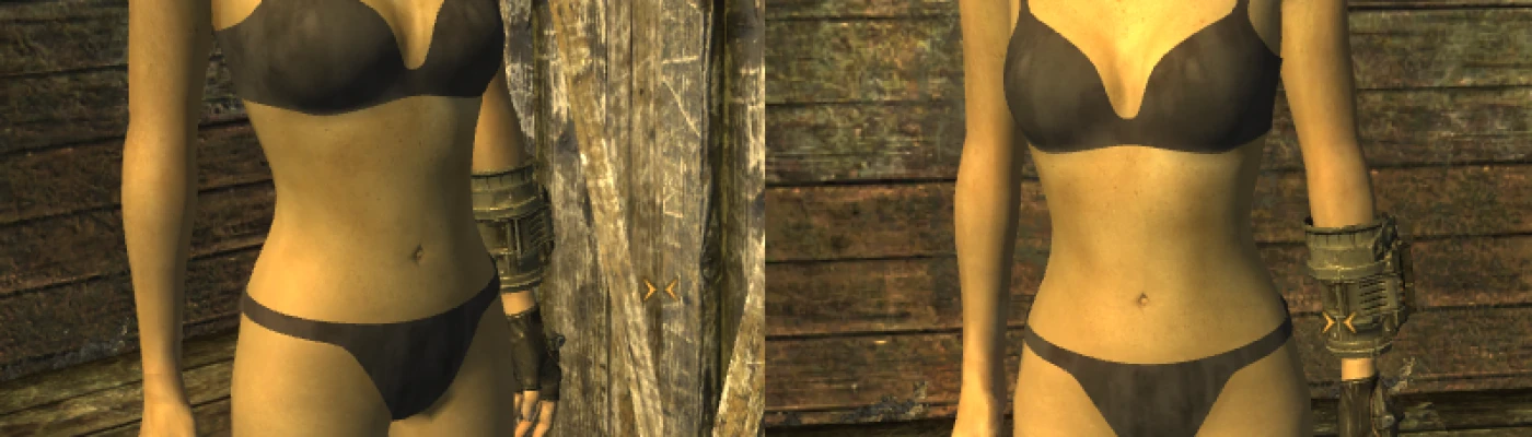 Slightly Improved Vanilla Female Body at Fallout New Vegas mods