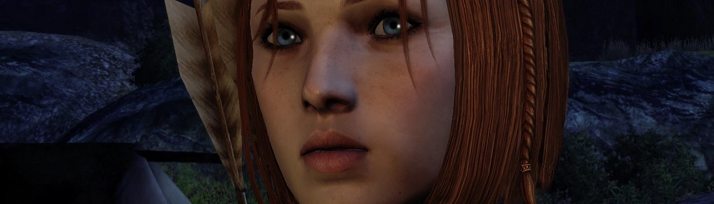 companions morph revised at Dragon Age: Origins - mods and community