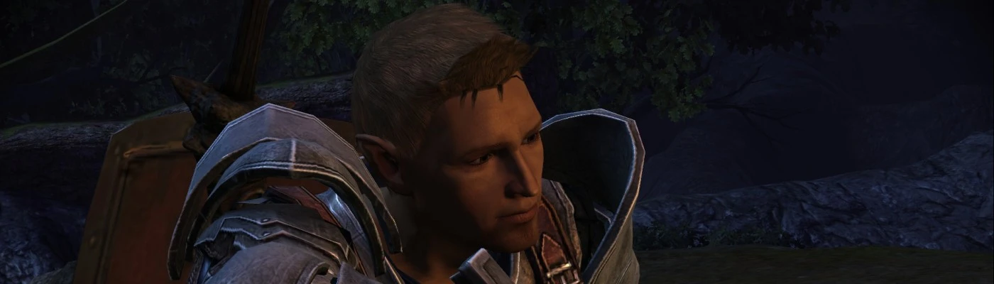 City Elf Origin, Dragon Age Wiki