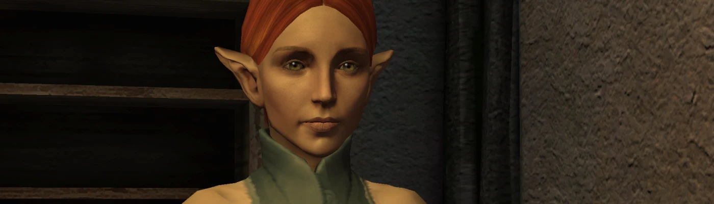 My Favorite DAO Mods in 2021  Dragon Age: Origins 