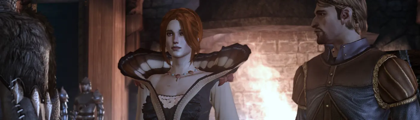 Dragon Age: Origins Modding Guides - Nexus Mods Wiki