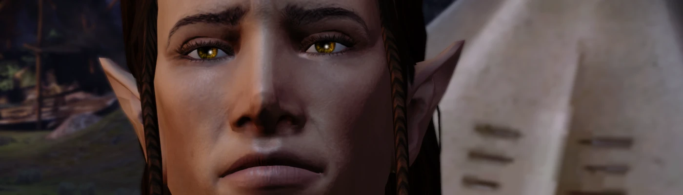 Companions about Morrigan & Warden