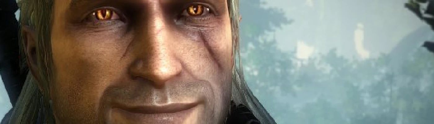 Geralt's Improved Quality of Life at The Witcher 2 Nexus - mods and  community