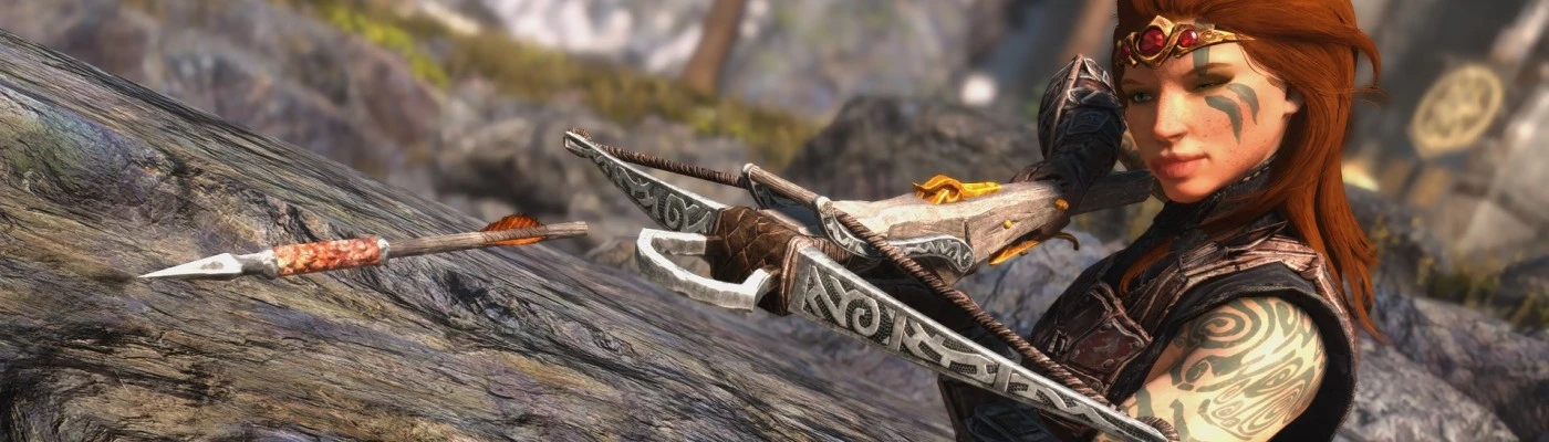 Weapon Speed Affects Bow's Draw Speed at Skyrim Special Edition Nexus -  Mods and Community