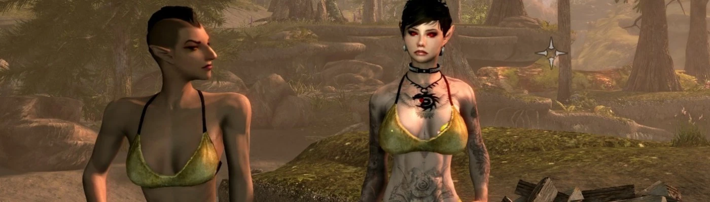 Women's Bikini Brief Underwear Video Game Gamepad Game Mod Mid