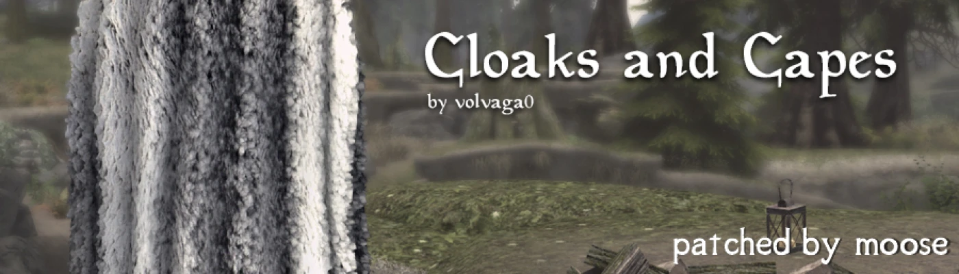 Someone posted gameplay of a mod involving the AR Cloak instantly