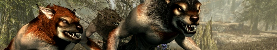 Companions No Werewolf Option - Fixed at Skyrim Special Edition Nexus -  Mods and Community