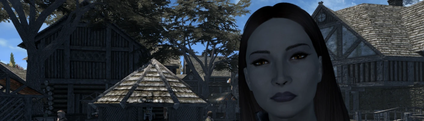 All Female Housecarls - Essential And Slightly Improved at Skyrim ...