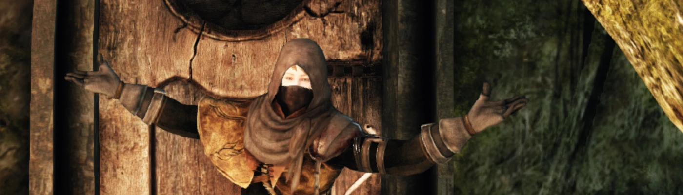 Dark Souls 2 Save Game Backup Tool at Dark Souls 2 Nexus - Mods