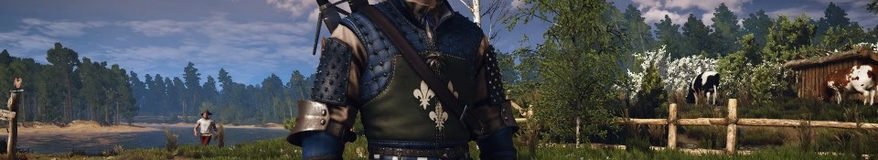 Temerian Armor at The Witcher 3 Nexus - Mods and community