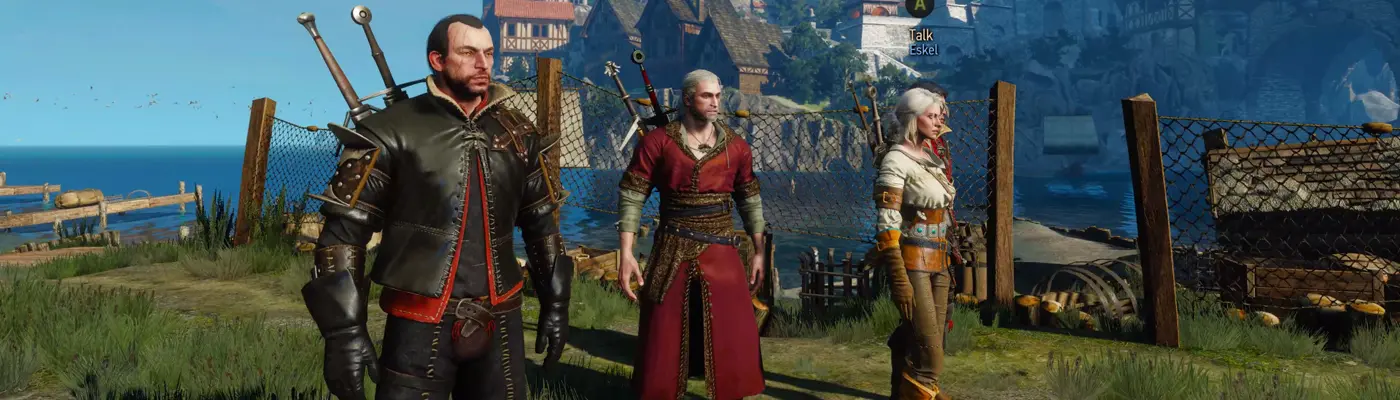 Swap Armour and Swords Appearances at The Witcher Nexus - mods and