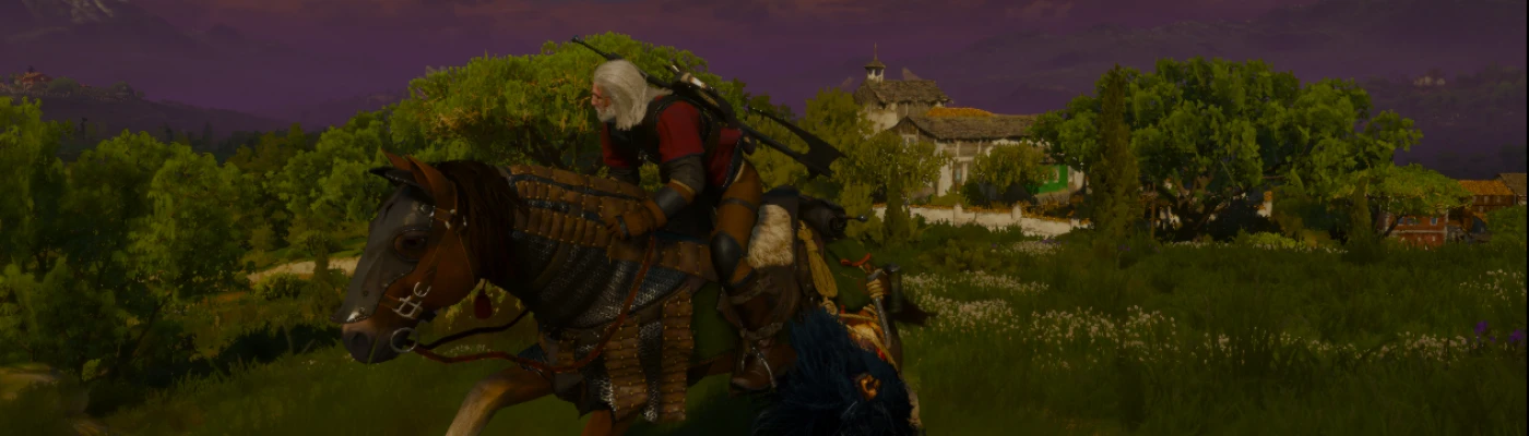 Faster Movement for Geralt at The Witcher Nexus - mods and community