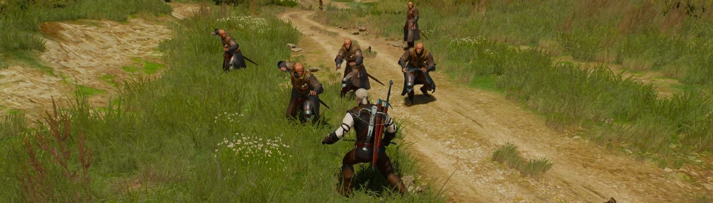 Faster Movement for Geralt at The Witcher Nexus - mods and community