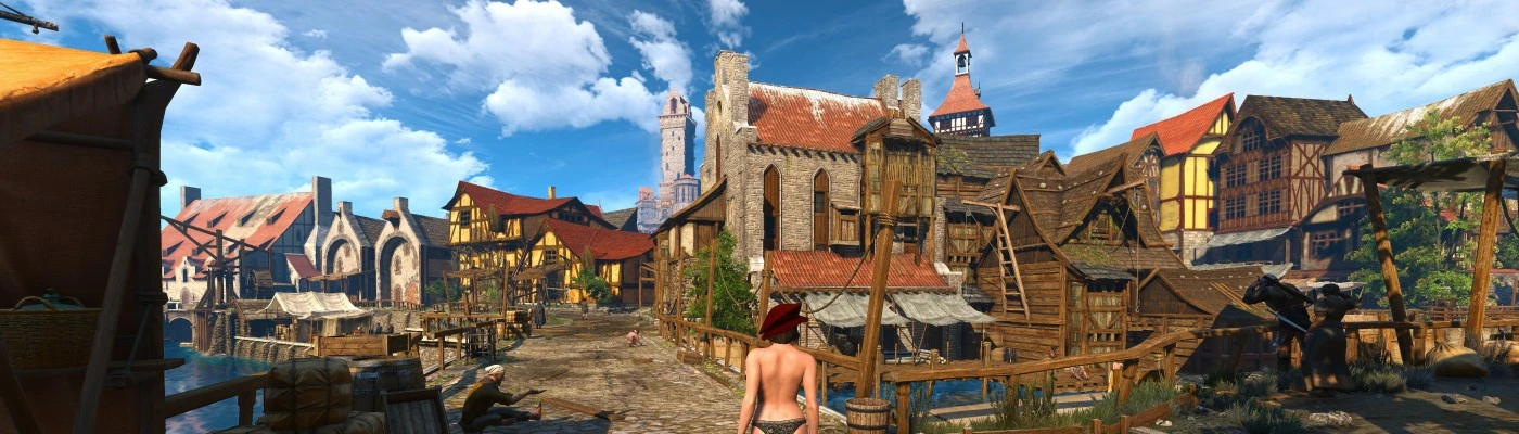 The Witcher: Mods That Make the First Game Playable in 2022