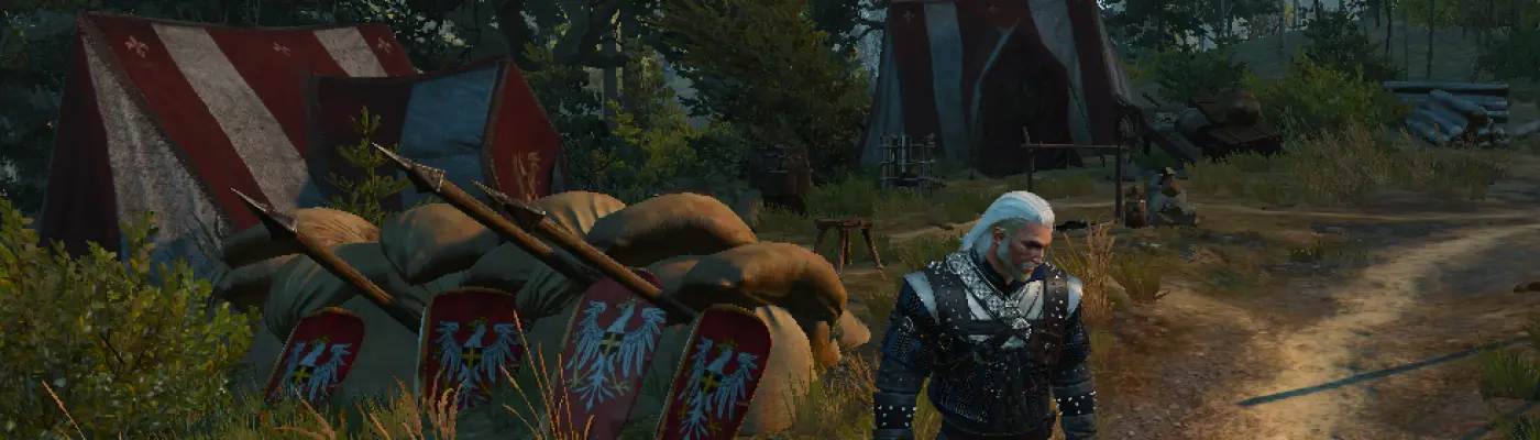 Patch 1.62 (The Witcher 3), Witcher Wiki